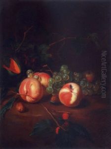 Peches Et Raisins Sur Un Entablement by Robert Van Der Myn
