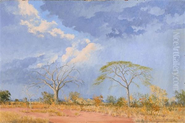 Bushveld Scene - view 1