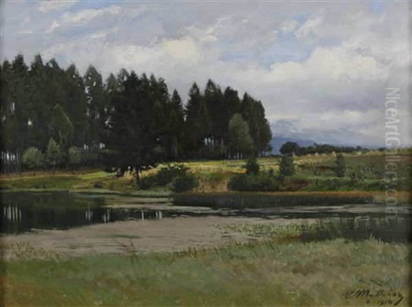 Teichlandschaft - view 1