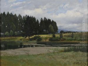 Teichlandschaft Teichlandschaft