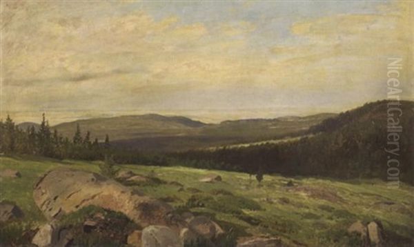 Hugelige Landschaft - view 1