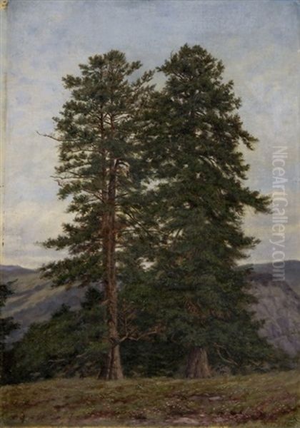 Landschaft Mit Tannen - view 1