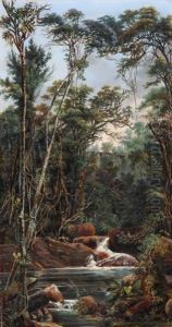 Dschungellandschaft Mit Wasserlauf by Heinrich Naegeli
