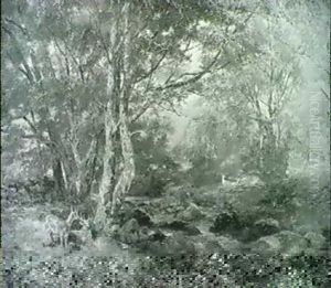 Throught The Wood, Pont-y-gytyn, North Wales