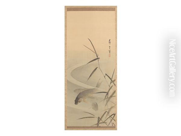 Carps - view 1