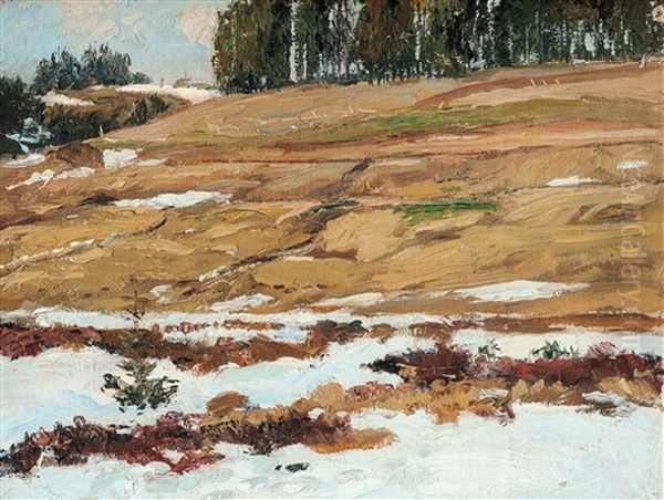 Schwarzwaldlandschaft - view 1