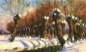 Winterliche Bachlandschaft Mit Knuppelweiden Im Sonnigen Licht
