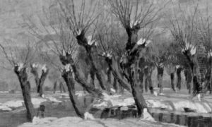 Bachlandschaft Mit Kopfweiden Im Winter