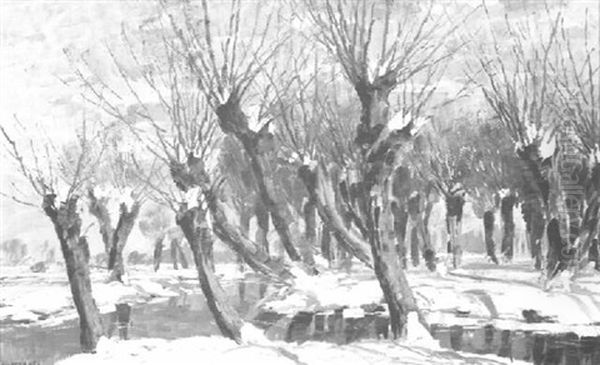 Forest Stream In Winter - view 1