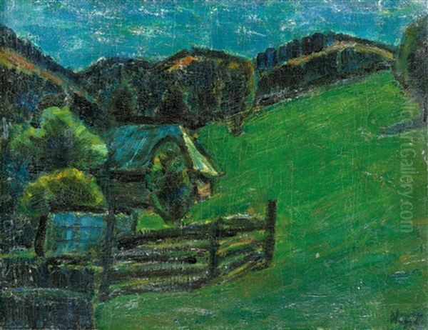Csik Landscape - view 1