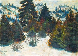 Pine-forest by Istvan Nagy