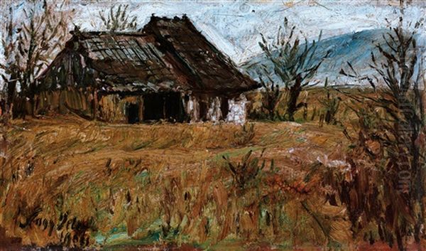 Transsylvanian Landscape - view 1
