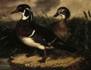 Wood Ducks by Hugo William Arthur Nahl