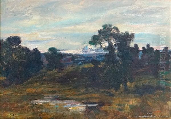 Central North Island Landscape - view 1
