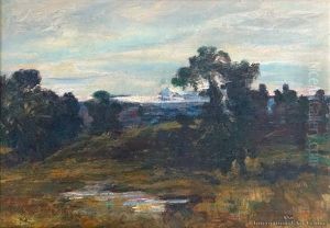 Central North Island Landscape by James M. Nairn