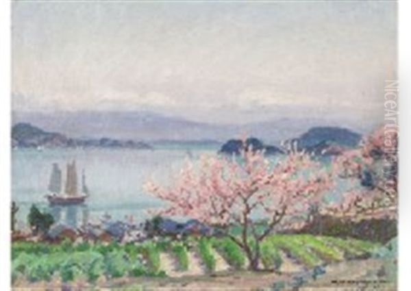Landscape - view 1