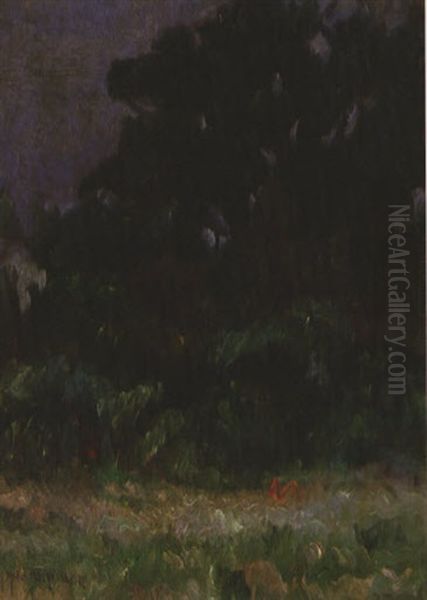 Rainy Season - view 1