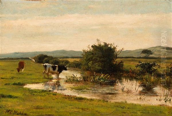 Cows By A Brook In Dekkersduin - view 1