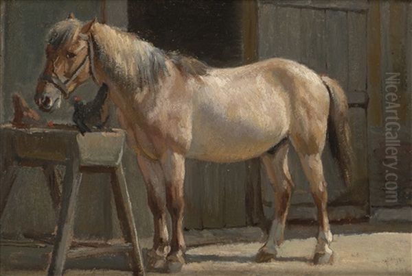 A Horse - view 1