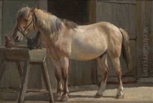 A Horse
