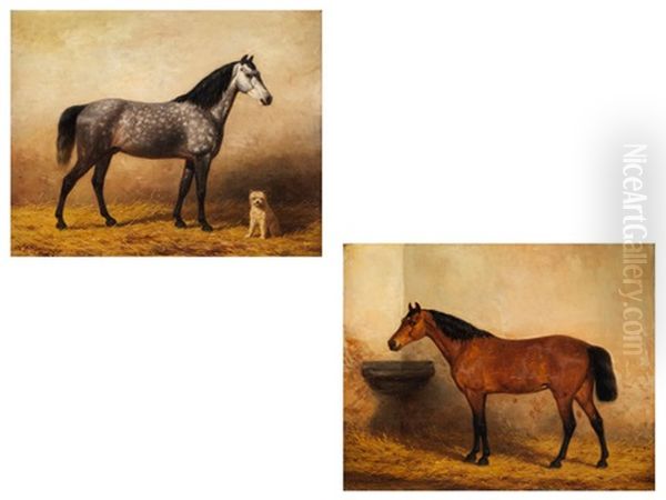 Pferdeportraits (pair) - view 1