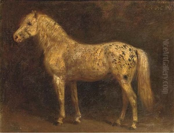 A White Horse - view 1