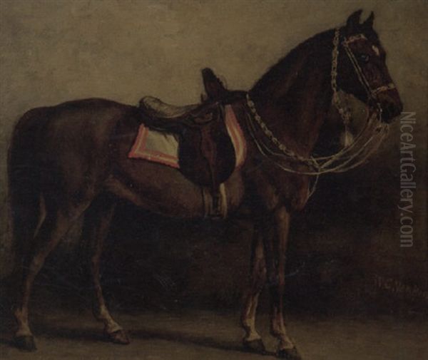 A Saddled Horse - view 1