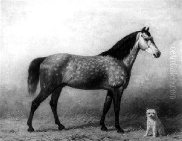 A Horse And A Dog In A Stable - view 1