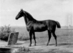 Cheval Dans Un Paysage by Willem Carel Nakken