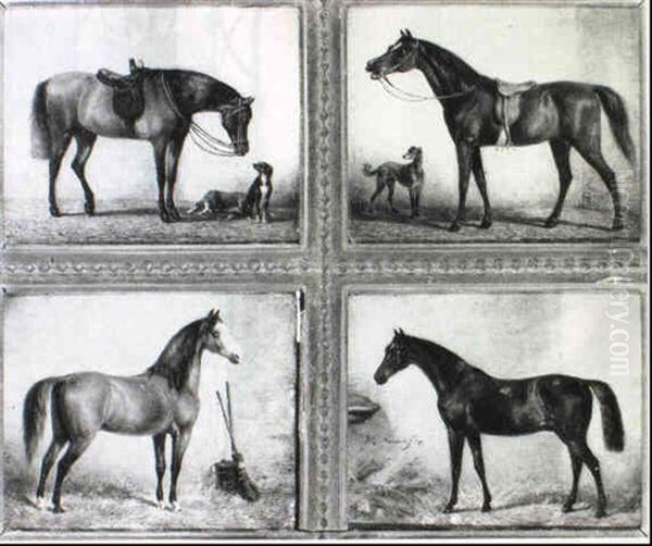 Portraits Of Horses - view 1