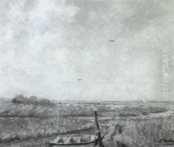 Cape Cod - Morning - view 1
