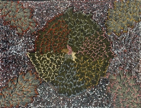 Untitled (bush Banana) - view 1