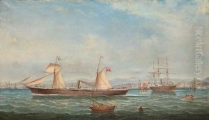 Dampskipene Scandinavia Og Europa by George Alexander Napier