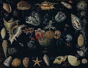 Natura Morta Con Conchiglie E Vasetto Con Fiori by Filippo Napoletano