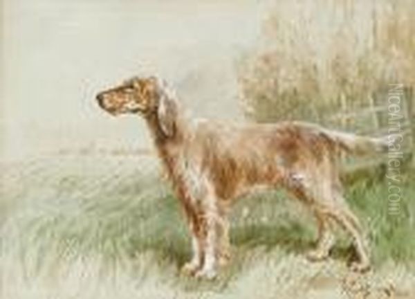 An English Setter In A Field - view 1
