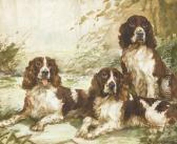 Three Springer Spaniels - view 1