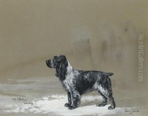 Miss Megan Of Solway: An English Cocker Spaniel