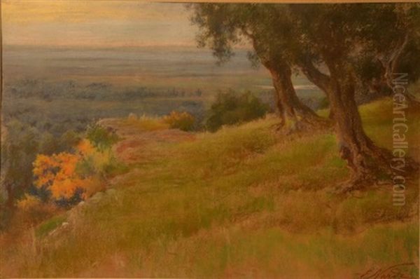 Landscape - view 1