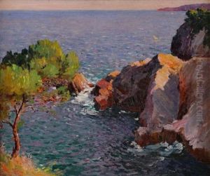 Cote Rocheuse Dans Le Var by Francois Nardi
