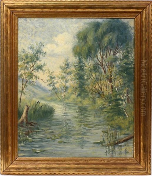Stream In Forest - view 1