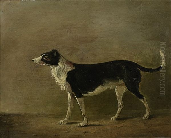 Maida, Sir Walter Scott's Dog - view 1