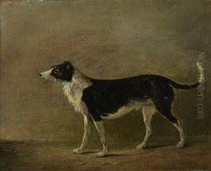 Maida, Sir Walter Scott's Dog by Alexander Nasmyth