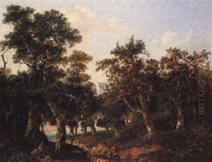 Edge Of The Woods Edge Of The Woods