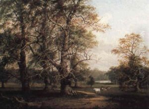 Cattle In A Wooded Parkland