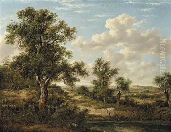 Heathland Near Godstone, Surrey - view 1
