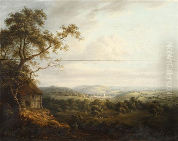 Extensive Rural Landscape With Distant Town - view 1