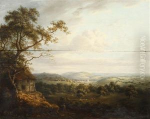 Extensive Rural Landscape With Distant Town