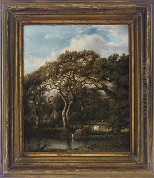 Cattle Grazing In A Woodland, A Farmhouse Beyond - view 1