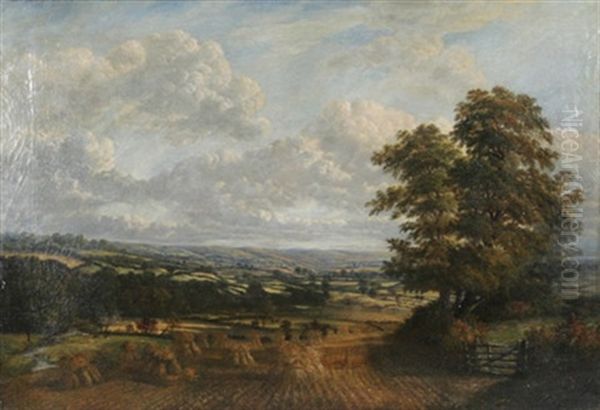 Weite Englische Landschaft - view 1