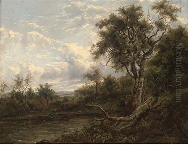 A Fallen Branch On A River Bank - view 1
